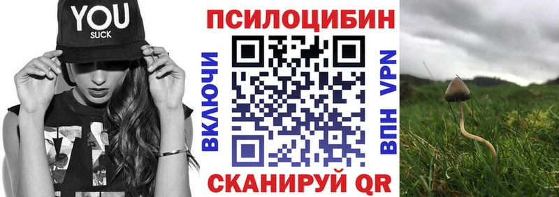 Галлюциногенные грибы Cubensis  Советская Гавань 
