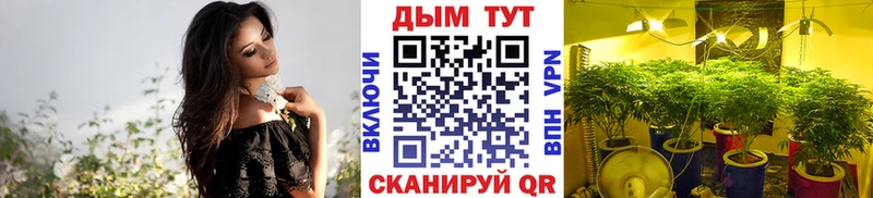 хочу   Советская Гавань  Шишки марихуана Bruce Banner 